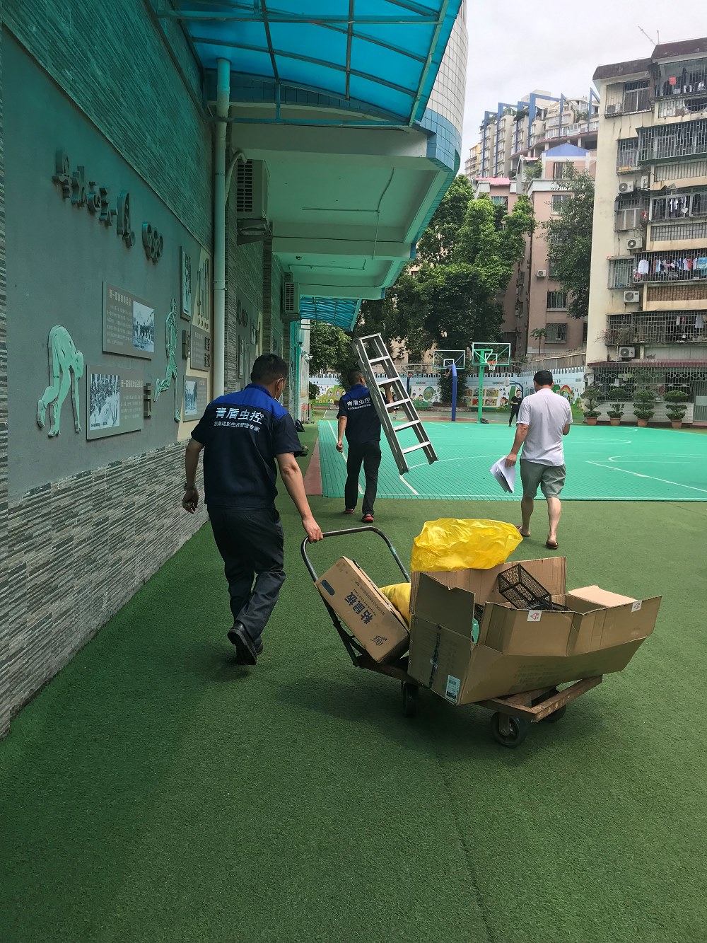 學(xué)校-除蟲(chóng)滅鼠防治案例