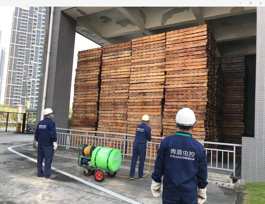 中海物流-除蟲(chóng)滅鼠防治案例